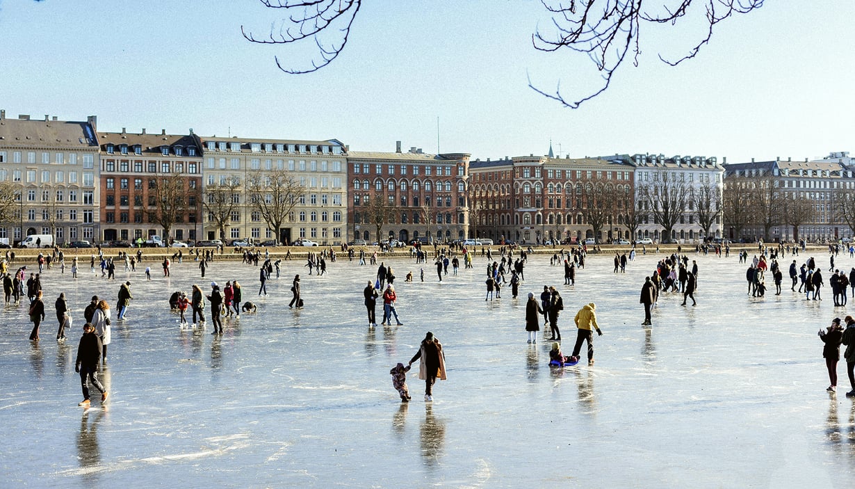 Fok som går på skøyter 