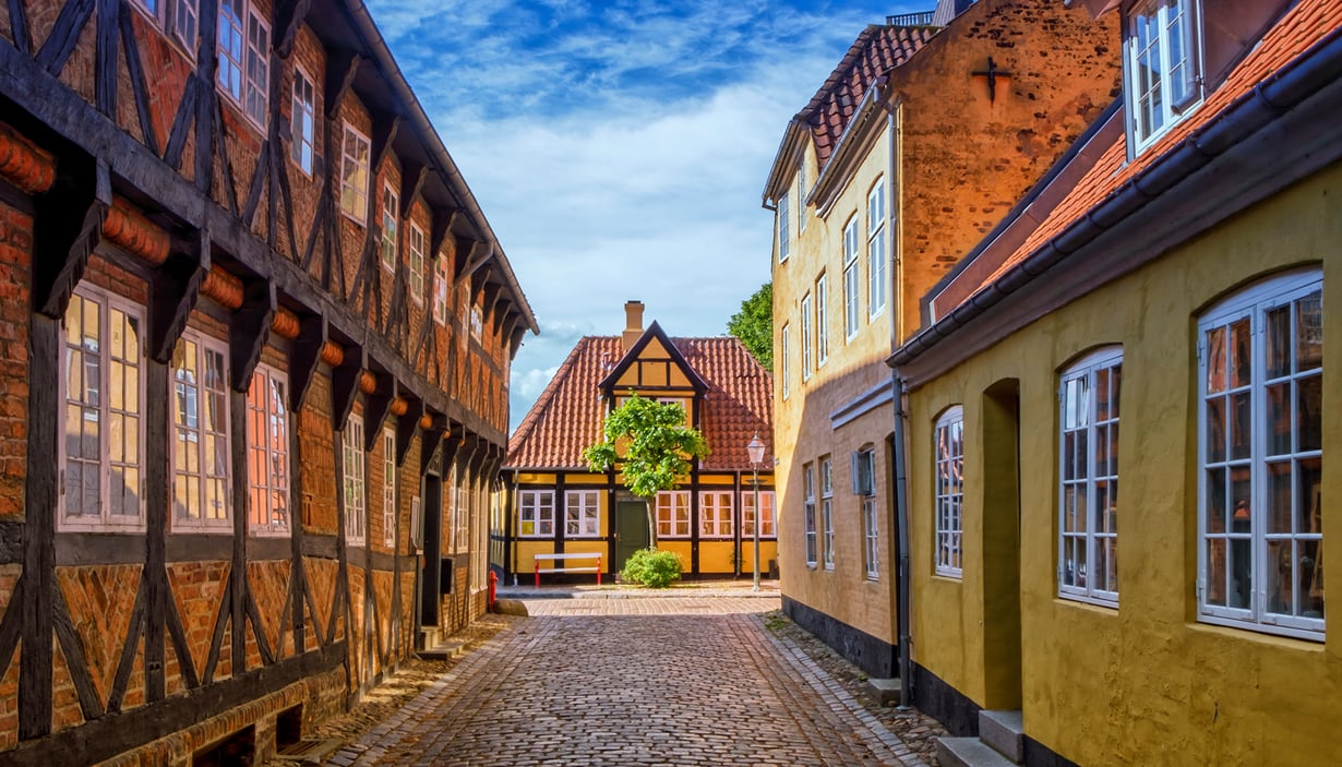 gate med typisk gamle danske hus